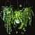 Indoor Hanging Plants Set 3D model small image 1