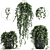 Exotic Ivy Collection | Indoor & Outdoor Décor 3D model small image 1