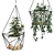 Title: Modern Hanging Planters with Vibrant Sansevieria, Ficus, and Ivy 3D model small image 2