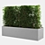 Botanical Bliss: 714k Poly Plant 3D model small image 2