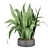 Lush Dracaena Collection: Vol. 6 3D model small image 2