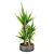 Lush Dracaena Collection: Vol. 6 3D model small image 4