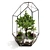 Botanical Glass Terrarium 3D model small image 1