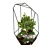 Botanical Glass Terrarium 3D model small image 2