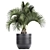 Tropical Plant Collection  Ravenala, Ficus, Bromelia  3D model small image 3