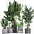 Exotic Plant Collection in Black Pots 3D model small image 1