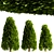 10 Stunning Thuja Occidentalis Trees 3D model small image 3