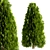 10 Stunning Thuja Occidentalis Trees 3D model small image 4