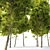 Tilia Cordata: Majestic Linden Tree 3D model small image 3