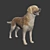 Golden Retriever: Beautiful Hunting Dog 3D model small image 4