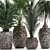 Exotic Plant Collection: Banana Palm, Ravenala, Strelitzia 3D model small image 2