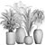 Exotic Plant Collection: Banana Palm, Ravenala, Strelitzia 3D model small image 5