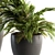 Tropical Oasis Indoor Plant Set 3D model small image 2