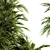 Tropical Oasis Indoor Plant Set 3D model small image 4