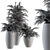 Tropical Oasis Indoor Plant Set 3D model small image 5