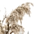 Boho Home Décor: Dried Plant & Pampas Set 3D model small image 3