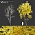 Winter & Autumn Fraxinus Tree: Separated Parts, Corona Material Library 3D model small image 1