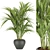 Tropical Elegance: Kentia Palm 3D model small image 1