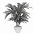 Tropical Elegance: Kentia Palm 3D model small image 3