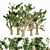 Cedar Of Lebanon 5-Tree Collection 3D model small image 1