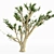 Cedar Of Lebanon 5-Tree Collection 3D model small image 2