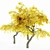Cherry Blossom Tree Collection 3D model small image 4