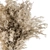 Pristine Pampas: 40 Dried Plants 3D model small image 2