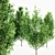  Majestic Cypress Oak Tree Bundle 3D model small image 2