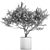 Exotic Plant Collection: Decorative Olive Tree in Black Vase 3D model small image 5