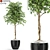 404 Plants Collection: Greenery Galore! 3D model small image 1