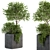 Concrete Box Outdoor Plant Set 93 3D model small image 1