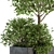 Concrete Box Outdoor Plant Set 93 3D model small image 3