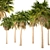 Triple Sabal Palm Tree Set - Lush Cabbage Palms 3D model small image 2