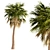 Triple Sabal Palm Tree Set - Lush Cabbage Palms 3D model small image 4