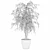 Ficus Ali - Exquisite Indoor Plant 3D model small image 2