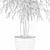 Ficus Ali - Exquisite Indoor Plant 3D model small image 5