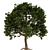 Poly Jungle: Luxurious Tree Sculpture 3D model small image 2