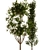 Greenery Delight: Planting Tree Set 3D model small image 5