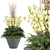 Outdoor Plant 001: Superior Quality and Lightweight 3D model small image 1