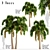 Exotic Foxtail Palms: Set of 3 3D model small image 1