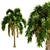 Exotic Foxtail Palms: Set of 3 3D model small image 3