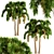 Exotic Foxtail Palms: Set of 3 3D model small image 4