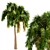 Exotic Foxtail Palms: Set of 3 3D model small image 5