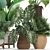 Exotic Rattan Plant Collection 3D model small image 3