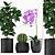 235 Indoor Plant Collection 3D model small image 1