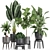 Exotic Plant Collection in Black Pots 3D model small image 1