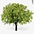 Giant Apple Tree 6s: Realistic 3D Model 3D model small image 4