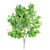 Luxury Maple Tree Duo V-Ray - 10m Height 3D model small image 3