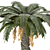 Sculpted Date Palm Tree 3D model small image 2