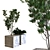  Greenery Delights: Plant Box Set 3D model small image 1